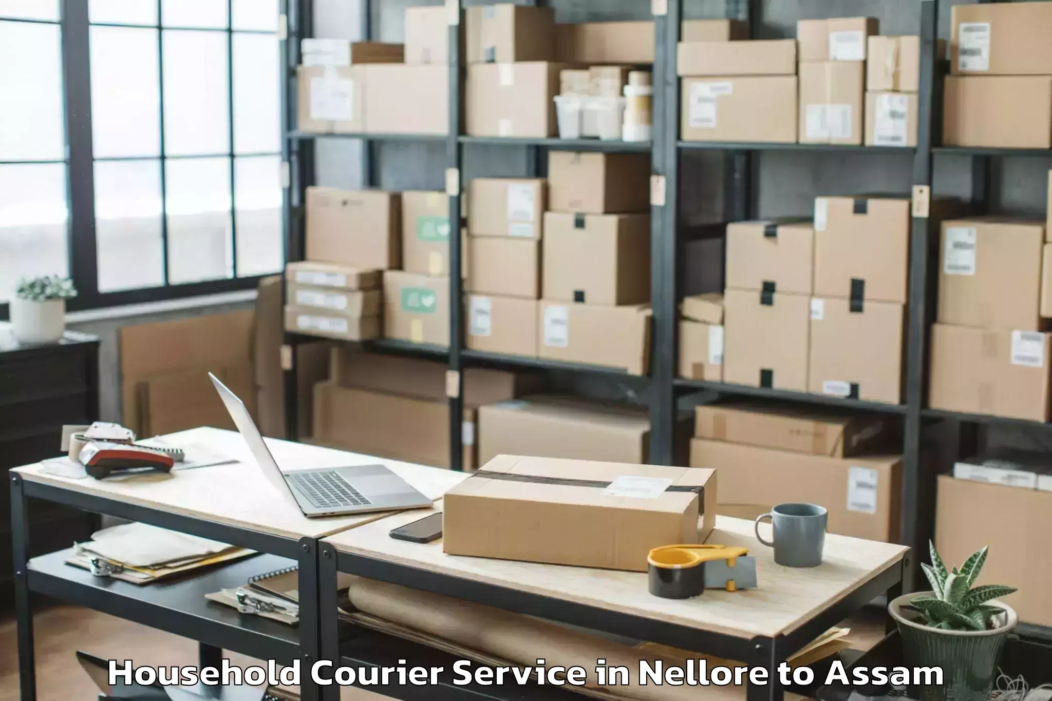 Hassle-Free Nellore to Bhergaon Household Courier